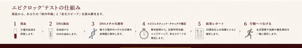 採血、DNA抽出、DNAメチル化解析、結果レポート、行動へつなげる流れの図