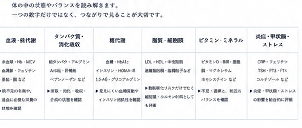 血球・鉄、タンパク質、糖代謝、脂質、ビタミン・ミネラル、炎症・甲状腺などの検査領域を示す図