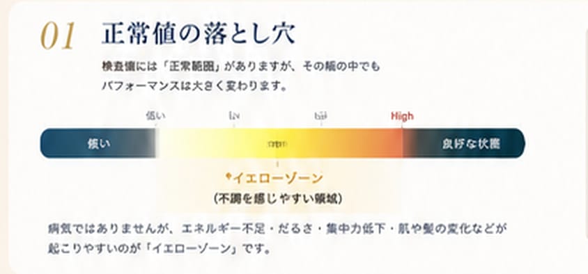 基準範囲の中にイエローゾーンがあることを示す図
