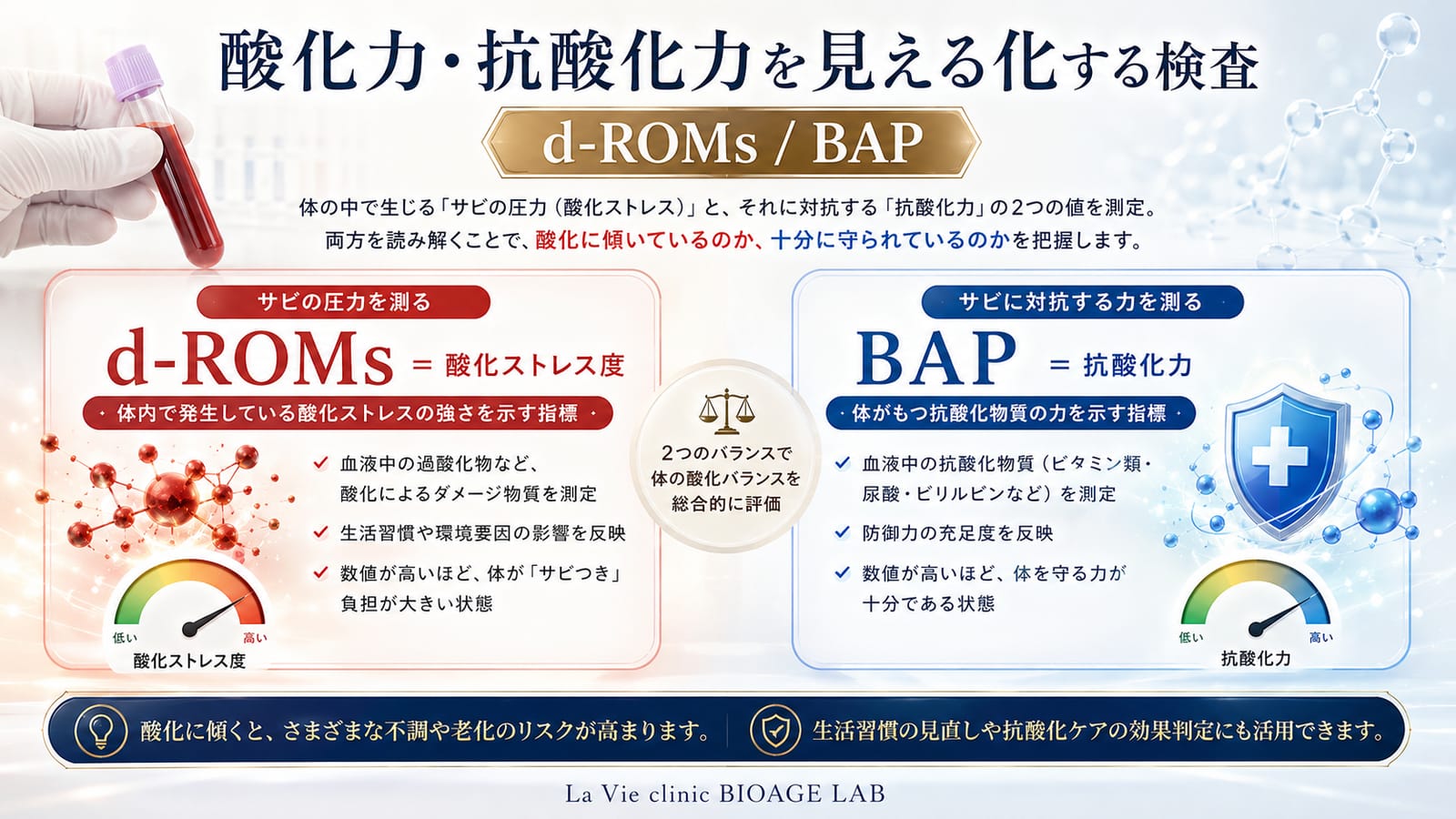 d-ROMs と BAP による酸化と抗酸化の見える化を示す図