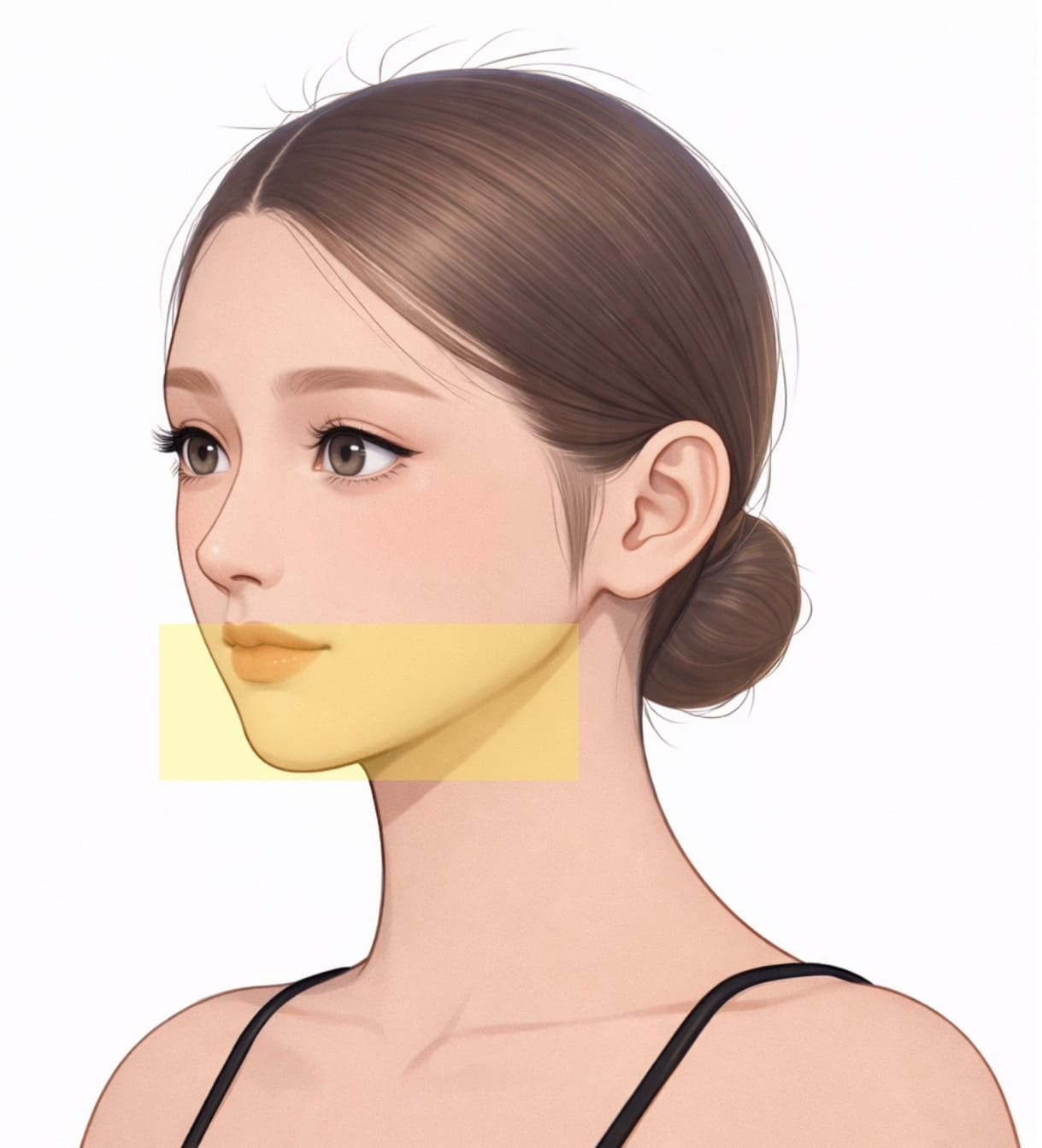 下顔面の変化イラスト - マリオネットライン、ほうれい線