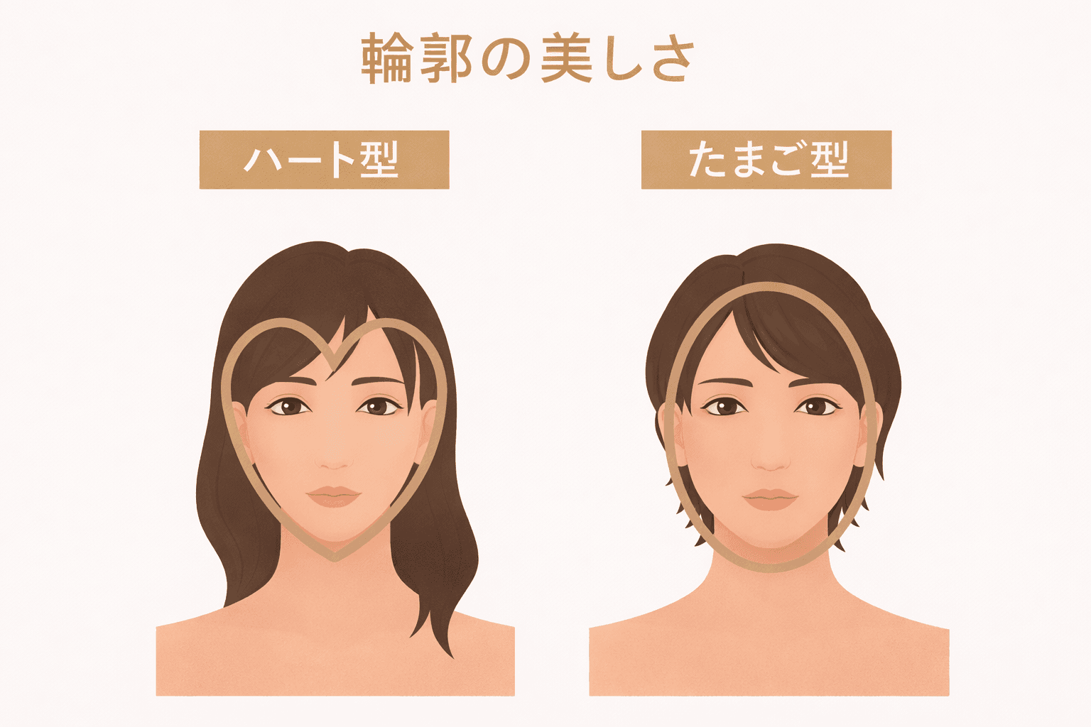輪郭の美しさ