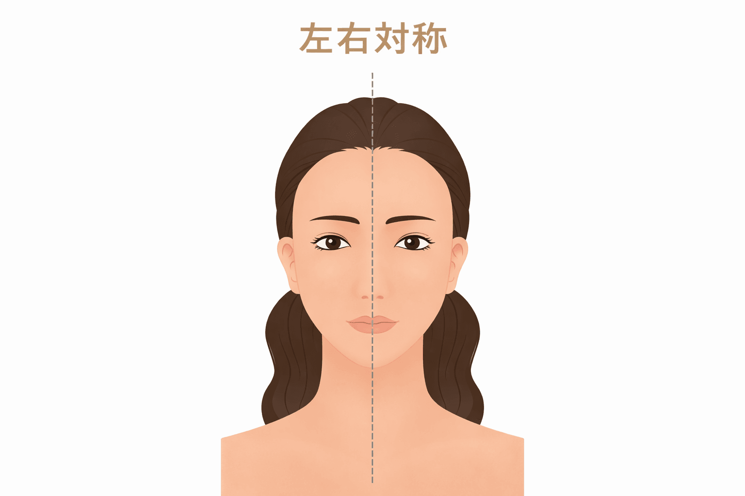 顔の対称性
