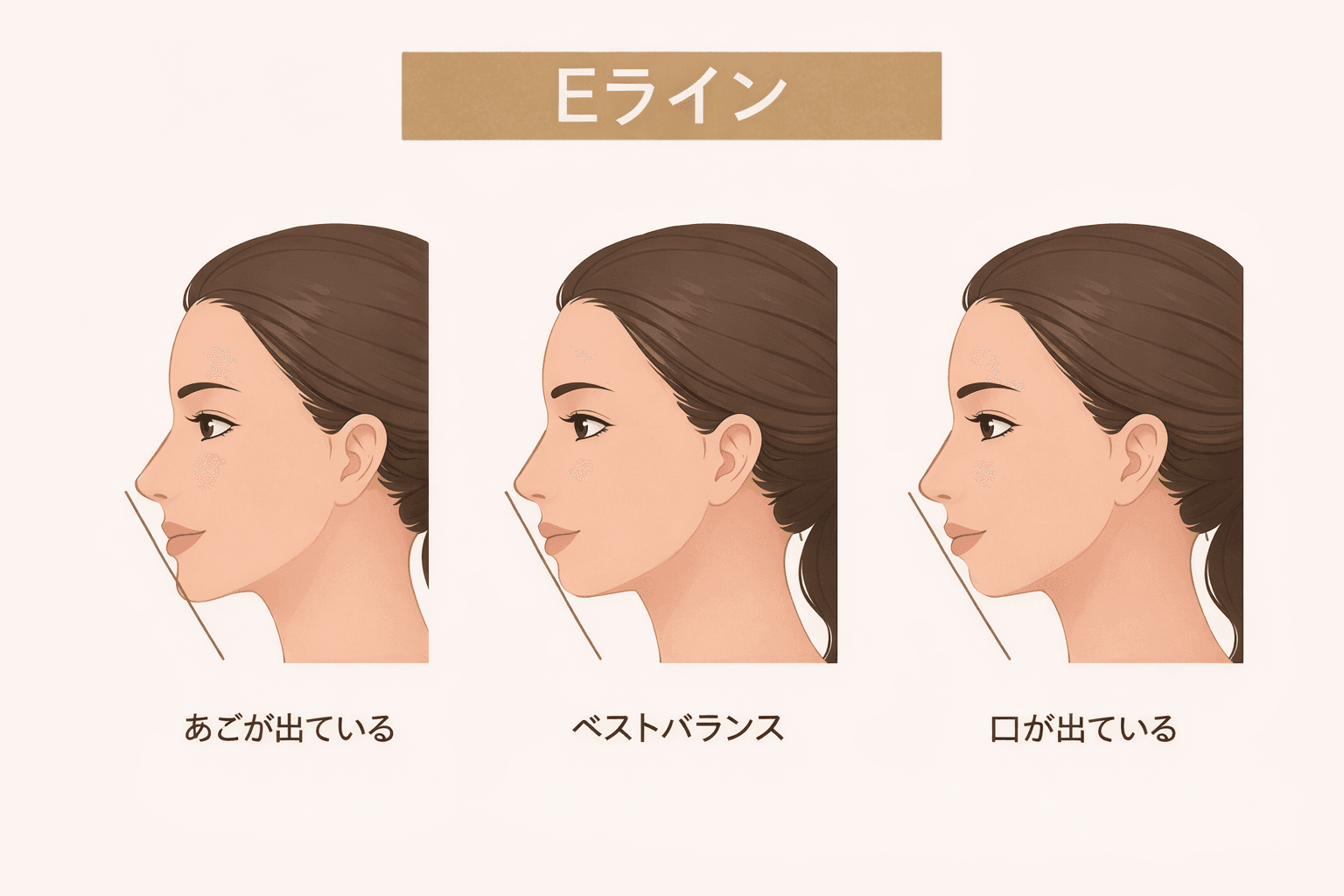 Eラインの美しさ