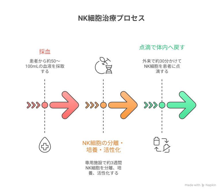 NK細胞療法の流れ