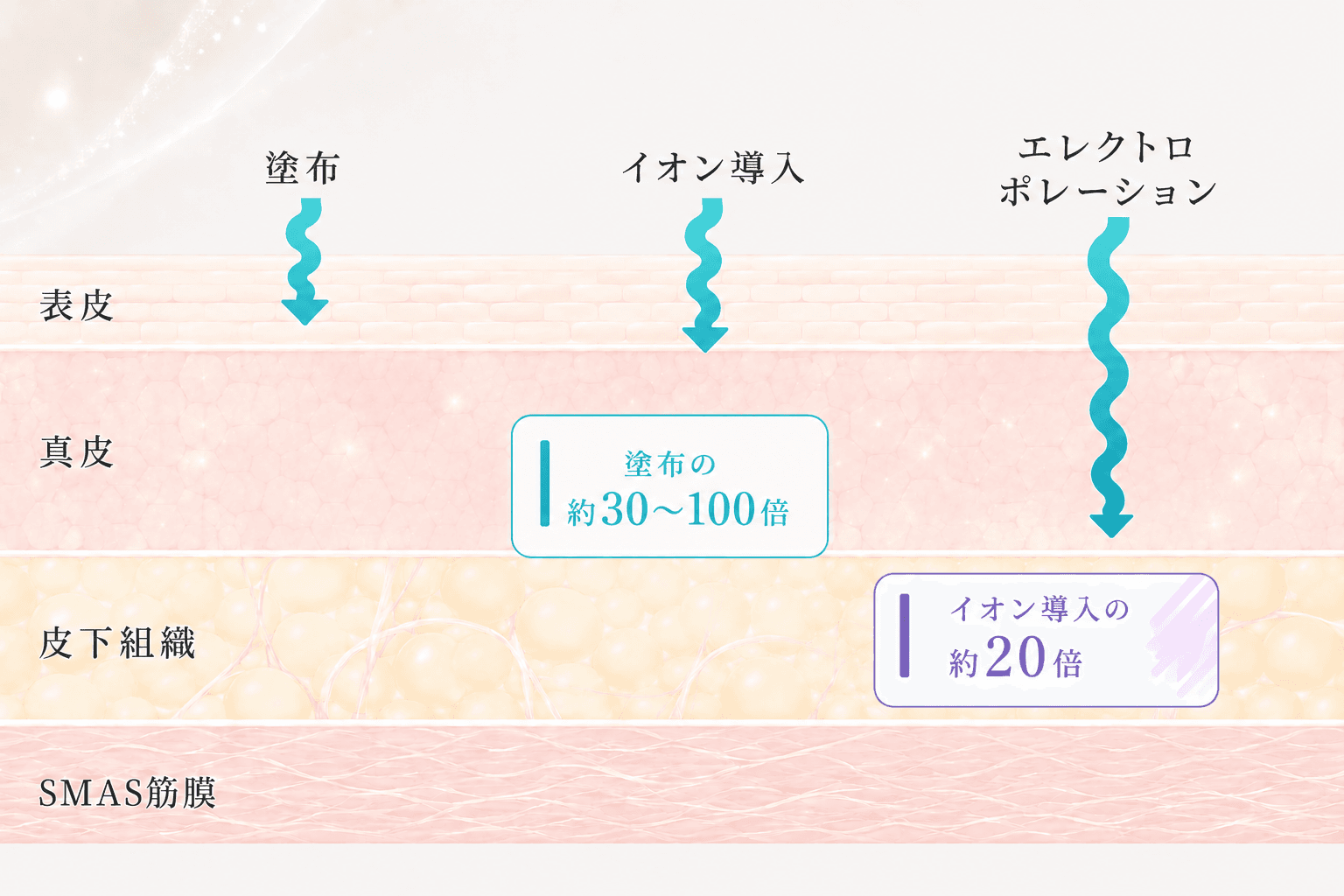 イオン導入とエレクトロポレーションの浸透比較図