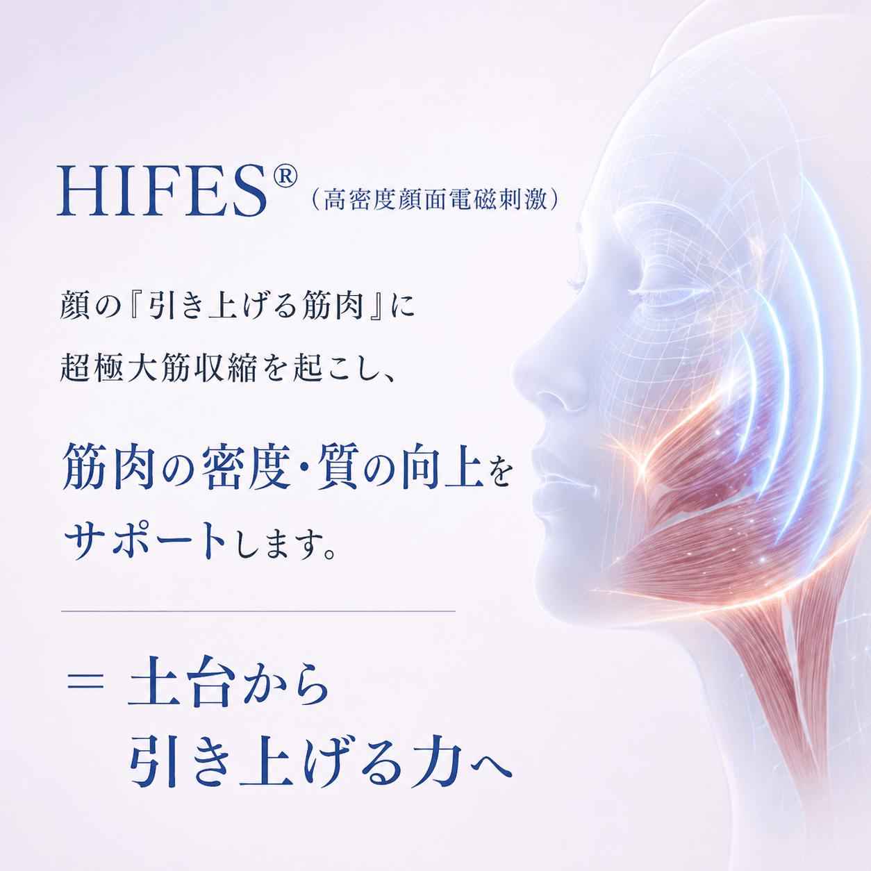 HIFES™(高密度電気筋刺激)