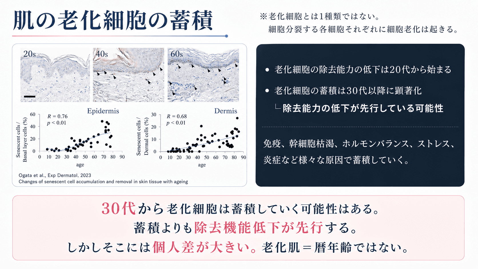 SASP参考画像
