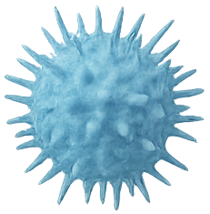 幹細胞培養上清液とは